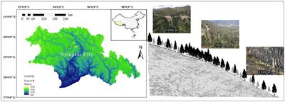 Elevational distribution patterns and drivers factors of fungal community diversity at different soil depths in the Abies georgei var. smithii forests on Sygera Mountains, southeastern Tibet, China